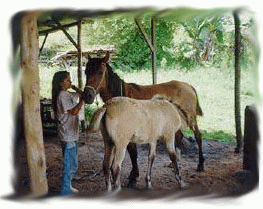 Jill with Chispa and daughter Filly at La Ronda