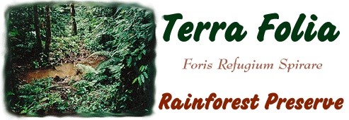 Terra Folia